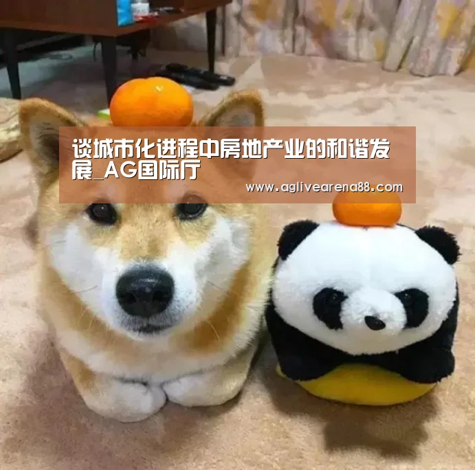 谈城市化进程中房地产业的和谐发展_AG国际厅(图3) AG竞猜