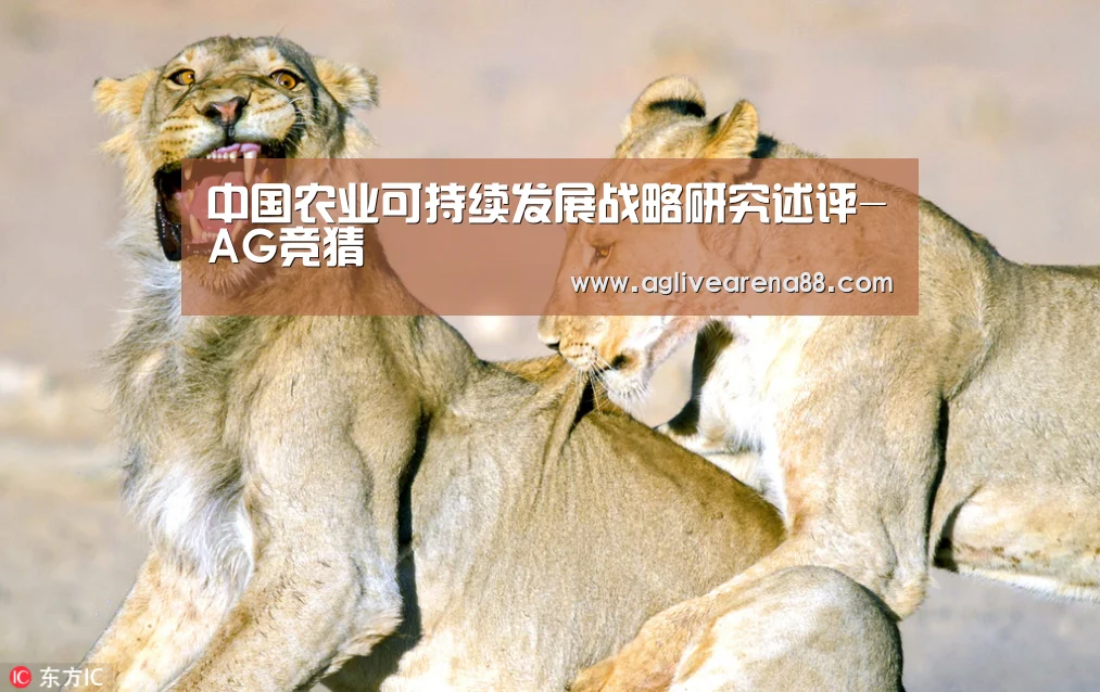 中国农业可持续发展战略研究述评-AG竞猜(图1) AG国际厅