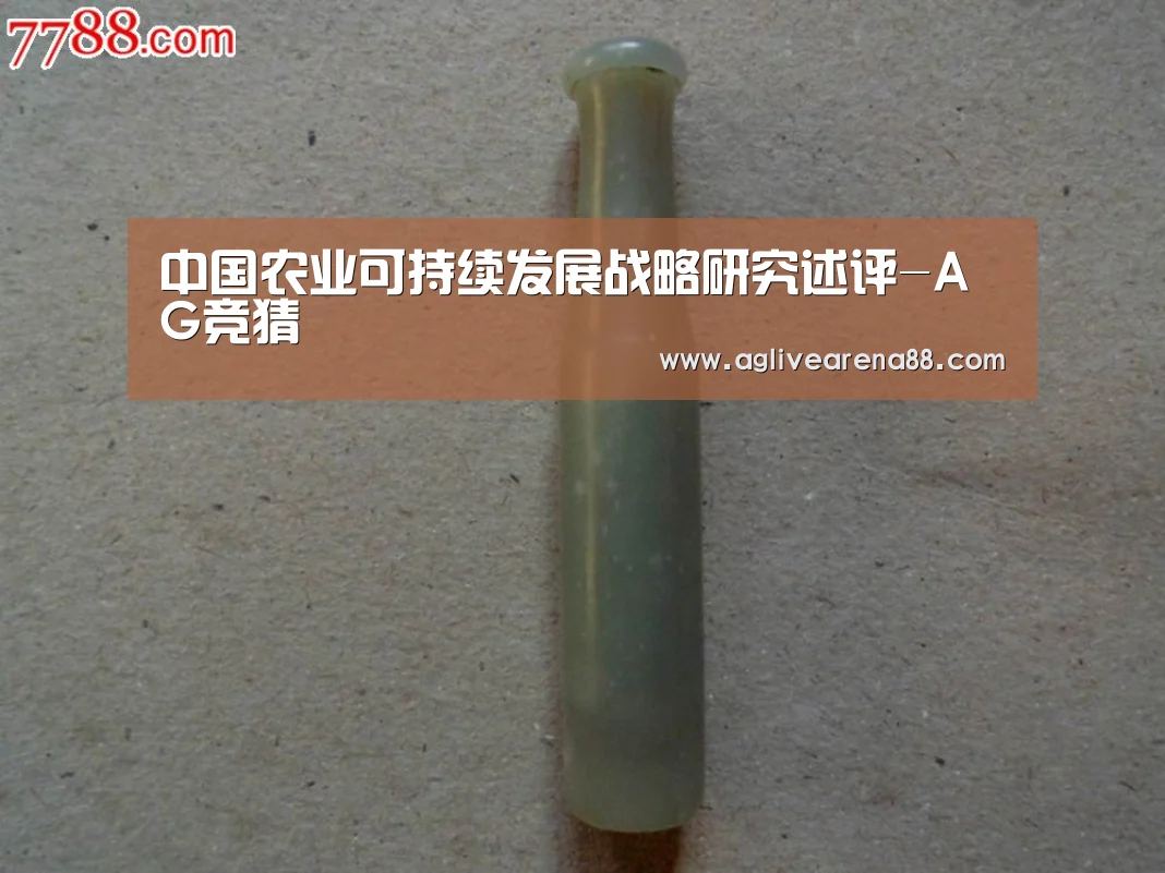 中国农业可持续发展战略研究述评-AG竞猜(图3) AG国际厅